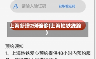 上海新增2例确诊(上海地铁线路)