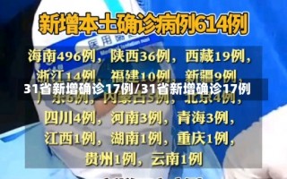 31省新增确诊17例/31省新增确诊17例