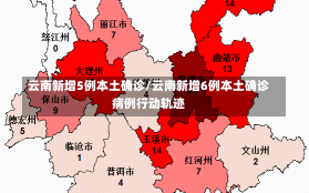 云南新增5例本土确诊/云南新增6例本土确诊病例行动轨迹