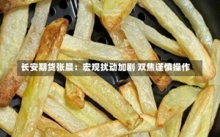 长安期货张晨：宏观扰动加剧 双焦谨慎操作