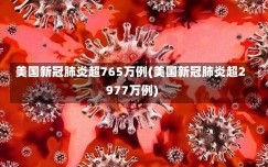 美国新冠肺炎超765万例(美国新冠肺炎超2977万例)