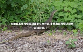 【多地现本土疫情假期能安心出行吗,多地出现疫情还能出去旅游吗?】