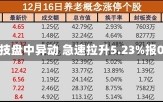 浩熙健康科技盘中异动 急速拉升5.23%报0.103美元