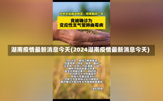 湖南疫情最新消息今天(2024湖南疫情最新消息今天)