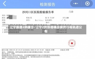 辽宁新增2例确诊/辽宁2例新增确诊病例行程轨迹公布