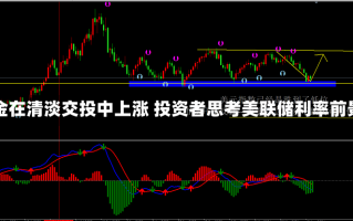 黄金在清淡交投中上涨 投资者思考美联储利率前景