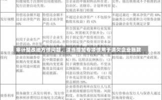 审计整改地方债问题，适当增加专项债用于清欠企业账款