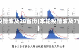 本轮疫情波及28省份(本轮疫情波及7省份)