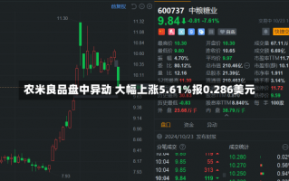 农米良品盘中异动 大幅上涨5.61%报0.286美元