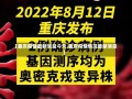 【重庆疫情最新消息今天,重庆疫情情况最新消息】