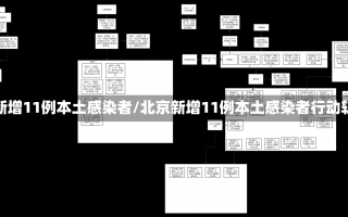 北京新增11例本土感染者/北京新增11例本土感染者行动轨迹