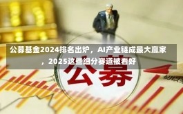 公募基金2024排名出炉，AI产业链成最大赢家，2025这些细分赛道被看好