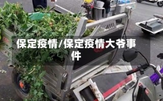 保定疫情/保定疫情大爷事件