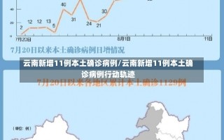 云南新增11例本土确诊病例/云南新增11例本土确诊病例行动轨迹