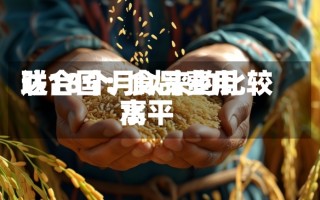 联合国：食品费用
达18个月以来的比较高
水平