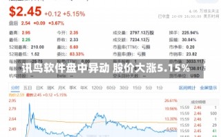 讯鸟软件盘中异动 股价大涨5.15%