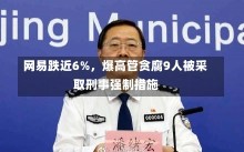 网易跌近6%，爆高管贪腐9人被采取刑事强制措施