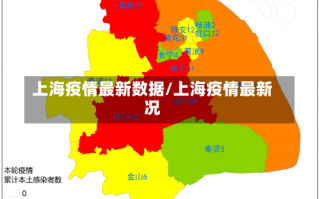 上海疫情最新数据/上海疫情最新况