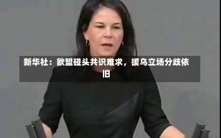 新华社：欧盟碰头共识难求，援乌立场分歧依旧