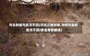 河北封城与武汉不同(河北三地封城,为何与当初武汉不同?多名专家解读)