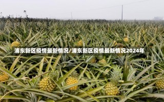 浦东新区疫情最新情况/浦东新区疫情最新情况2024年