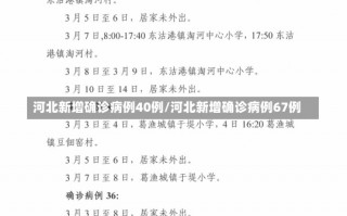 河北新增确诊病例40例/河北新增确诊病例67例