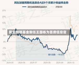 民生加银基金新任王国栋为首席信息官-第2张图片-建明新闻