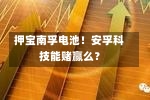 押宝南孚电池！安孚科技能赌赢么？-第3张图片-建明新闻