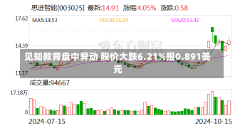 见知教育盘中异动 股价大跌6.21%报0.891美元-第1张图片-建明新闻