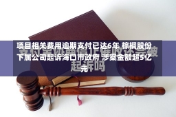 项目相关费用逾期支付已达6年 棕榈股份下属公司起诉海口市政府 涉案金额超5亿元-第1张图片-建明新闻