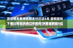 项目相关费用逾期支付已达6年 棕榈股份下属公司起诉海口市政府 涉案金额超5亿元-第2张图片-建明新闻