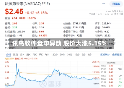 讯鸟软件盘中异动 股价大涨5.15%-第1张图片-建明新闻