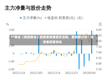 ST美谷（奥园美谷）股票索赔案提交法院，索赔倒计时！投资者抓紧诉讼-第1张图片-建明新闻