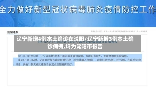 辽宁新增4例本土确诊在沈阳/辽宁新增3例本土确诊病例,均为沈阳市报告-第2张图片-建明新闻