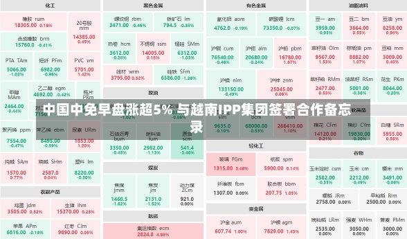 中国中免早盘涨超5% 与越南IPP集团签署合作备忘录-第1张图片-建明新闻