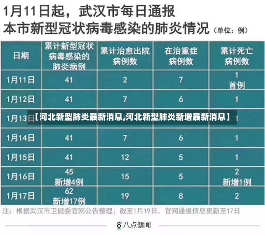 【河北新型肺炎最新消息,河北新型肺炎新增最新消息】-第1张图片-建明新闻