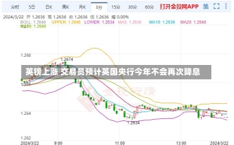 英镑上涨 交易员预计英国央行今年不会再次降息-第2张图片-建明新闻