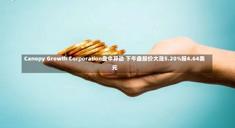 Canopy Growth Corporation盘中异动 下午盘股价大涨5.20%报4.64美元-第1张图片-建明新闻