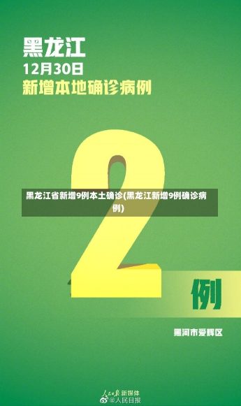 黑龙江省新增9例本土确诊(黑龙江新增9例确诊病例)-第3张图片-建明新闻