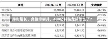 净利增长、负债率攀升，400亿科技龙头怎么了？-第3张图片-建明新闻