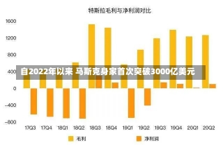 自2022年以来 马斯克身家首次突破3000亿美元-第1张图片-建明新闻