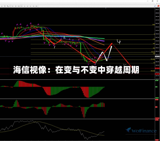 海信视像：在变与不变中穿越周期-第1张图片-建明新闻