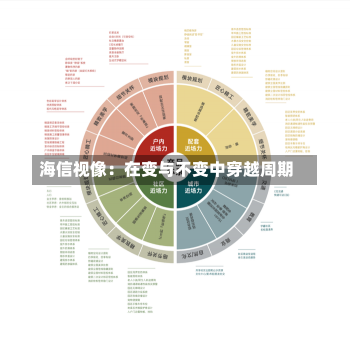 海信视像：在变与不变中穿越周期-第2张图片-建明新闻