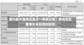 国内最大造纸企业之一突发公告！晨鸣纸业董事长夫妇同时辞职-第1张图片-建明新闻