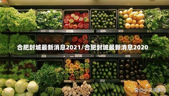 合肥封城最新消息2021/合肥封城最新消息2020-第2张图片-建明新闻