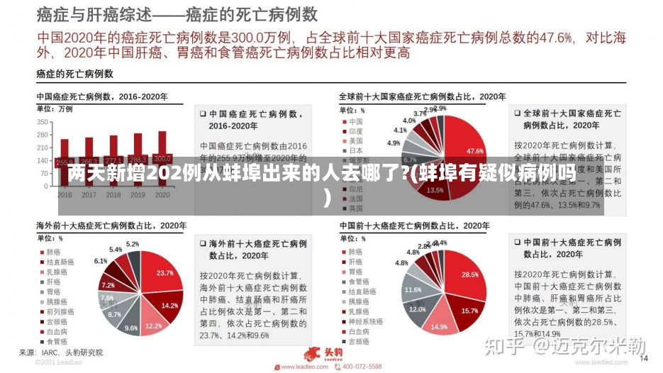 两天新增202例从蚌埠出来的人去哪了?(蚌埠有疑似病例吗)-第1张图片-建明新闻