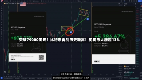 突破79000美元！比特币再创历史新高！狗狗币大涨超13%-第2张图片-建明新闻