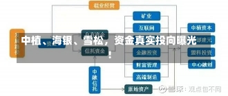 中植、海银、雪松，资金真实投向曝光！-第1张图片-建明新闻