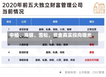 中植、海银、雪松，资金真实投向曝光！-第2张图片-建明新闻