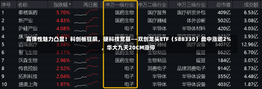 高弹性魅力凸显！科创板狂飙，硬科技宽基——双创龙头ETF（588330）盘中涨逾2%，华大九天20CM涨停-第2张图片-建明新闻